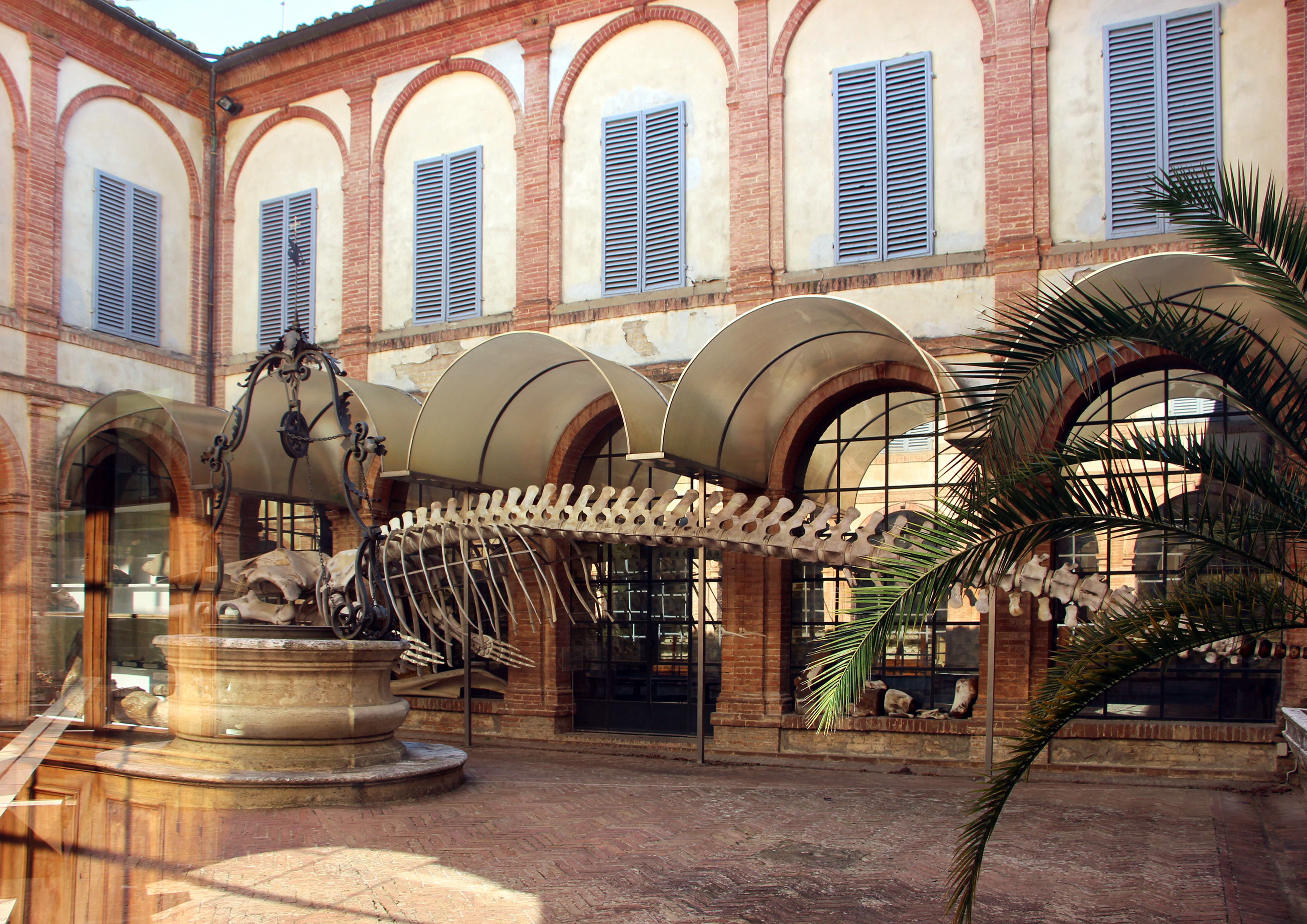 Roma La Sapienza universitesi